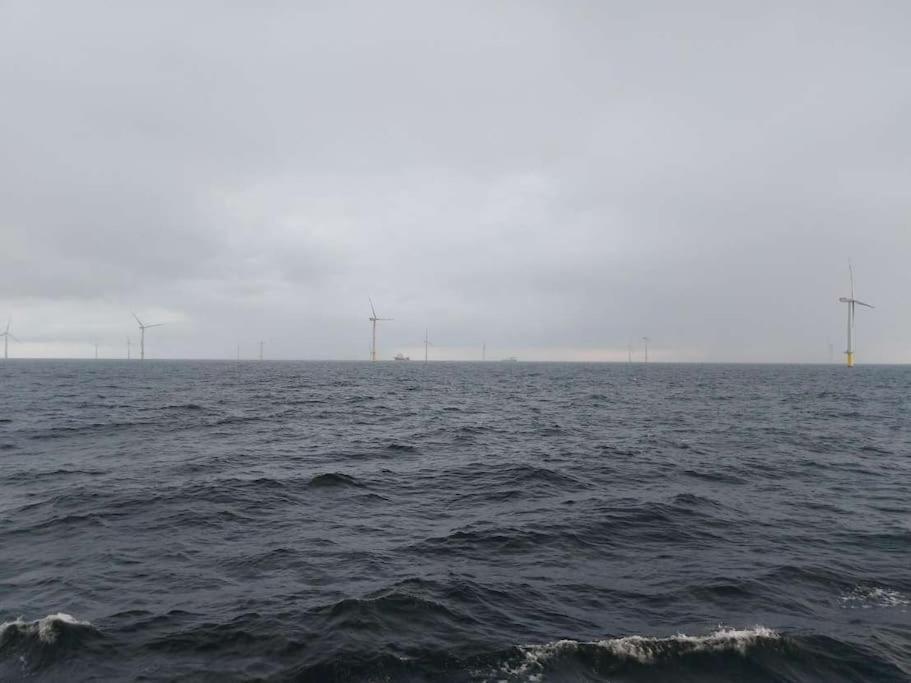 Fewo Nordsee Whng 3 Schillig Zewnętrze zdjęcie